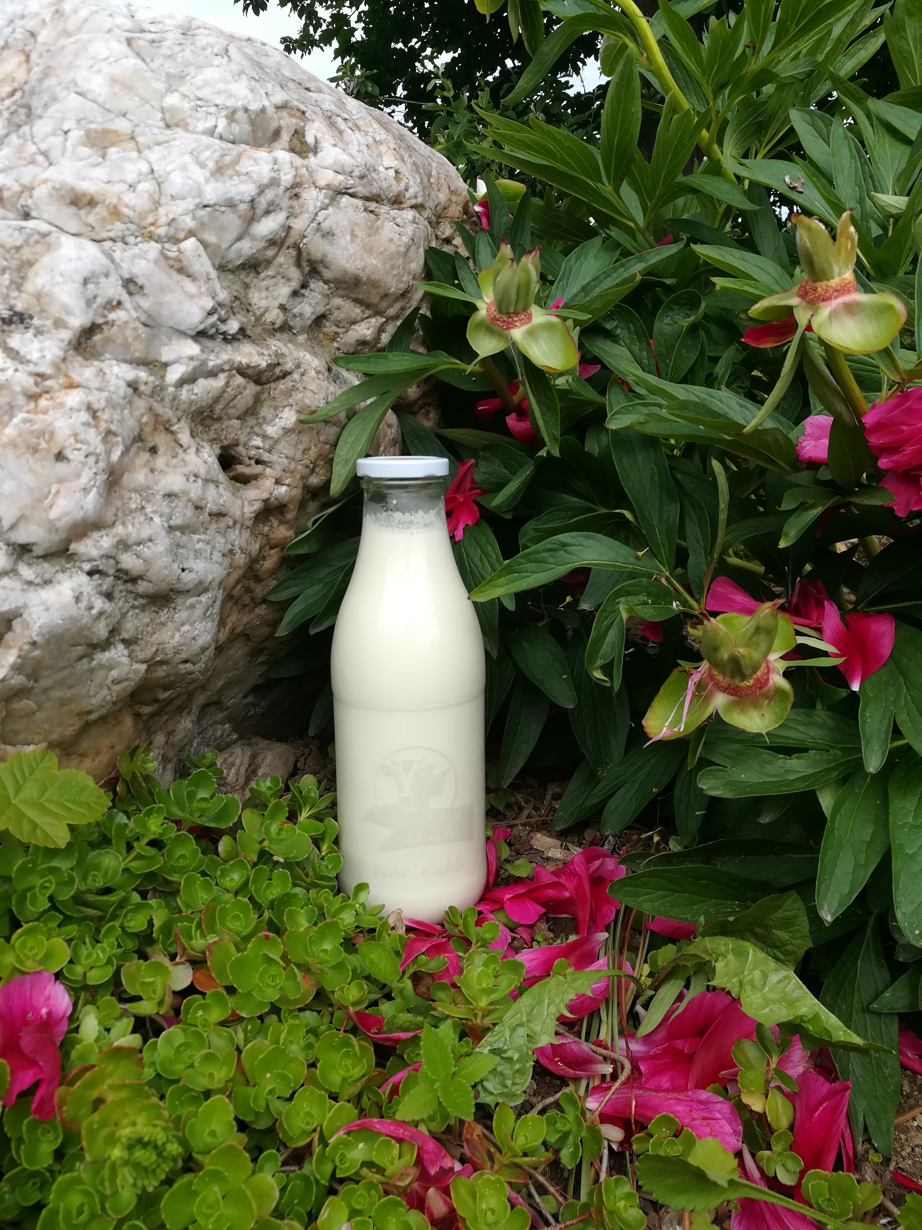 Milch: Agrargenossenschaft Bergland Clausnitz